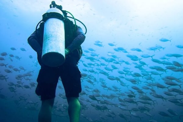 Comment choisir une croisière qui visite des sites de plongée épave historiquement significatifs ?